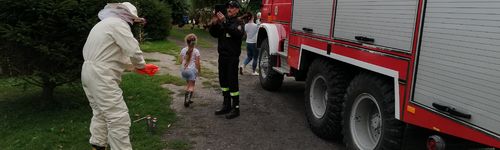 Zdjęcie Stegna