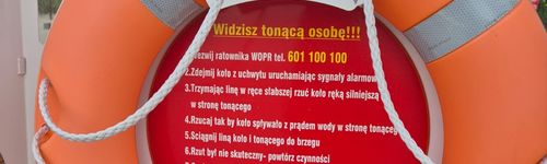 Zdjęcie Stegna