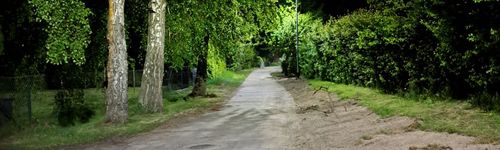 Zdjęcie Stegna